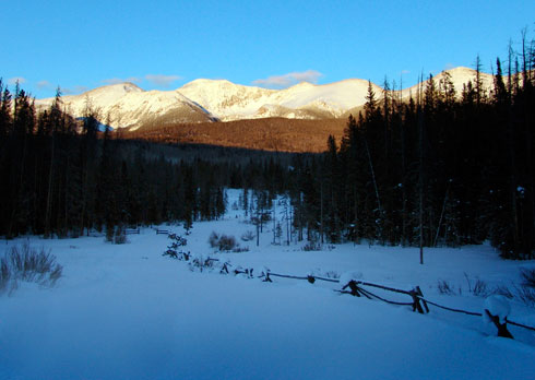 website photo