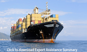 photo of cargo ship symbolizing exporting and how Incognito Marketing can help you get started with an exporting website