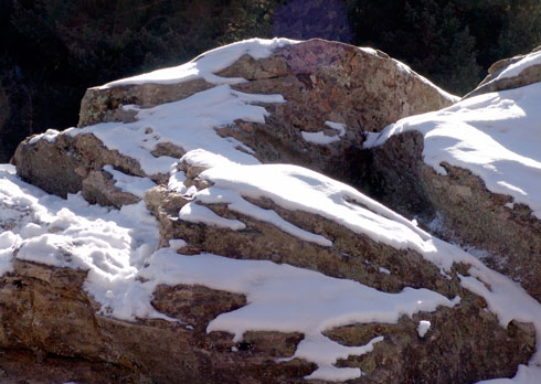 website photo